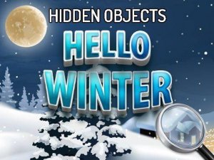 Snowy Scene Seek & Find