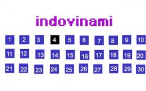 Guess the Hidden Number Puzzle