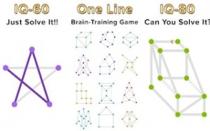 Unbroken Path Puzzle Challenge