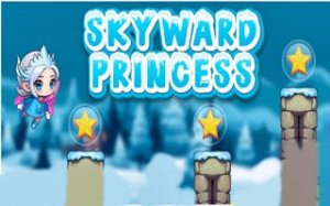 Skyward Princess Flying Journey